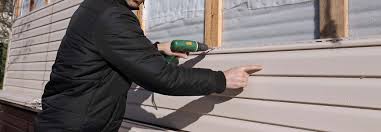 Affordable Siding Repair and Maintenance Services in Verona Walk, FL